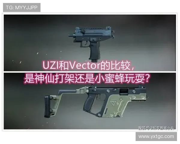 和平精英热议FPX状态引发争议分析与讨论