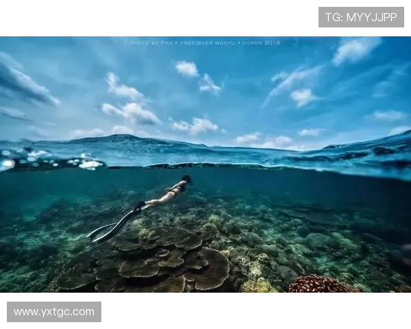 广州极限运动队在极限运动联赛中的默契配合与精彩表现分析