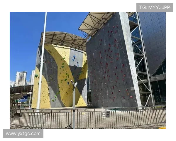 广州攀岩队的意识探讨与发展：攀岩运动的团队精神与个体成长