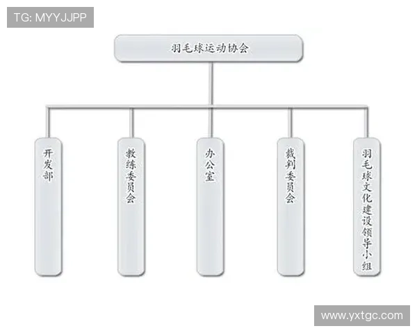 成都羽毛球队技术对比深度解析与发展趋势探讨
